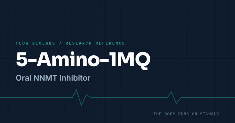 5-Amino-1MQ: Mechanism and Evidence Review | Flow BioLabs