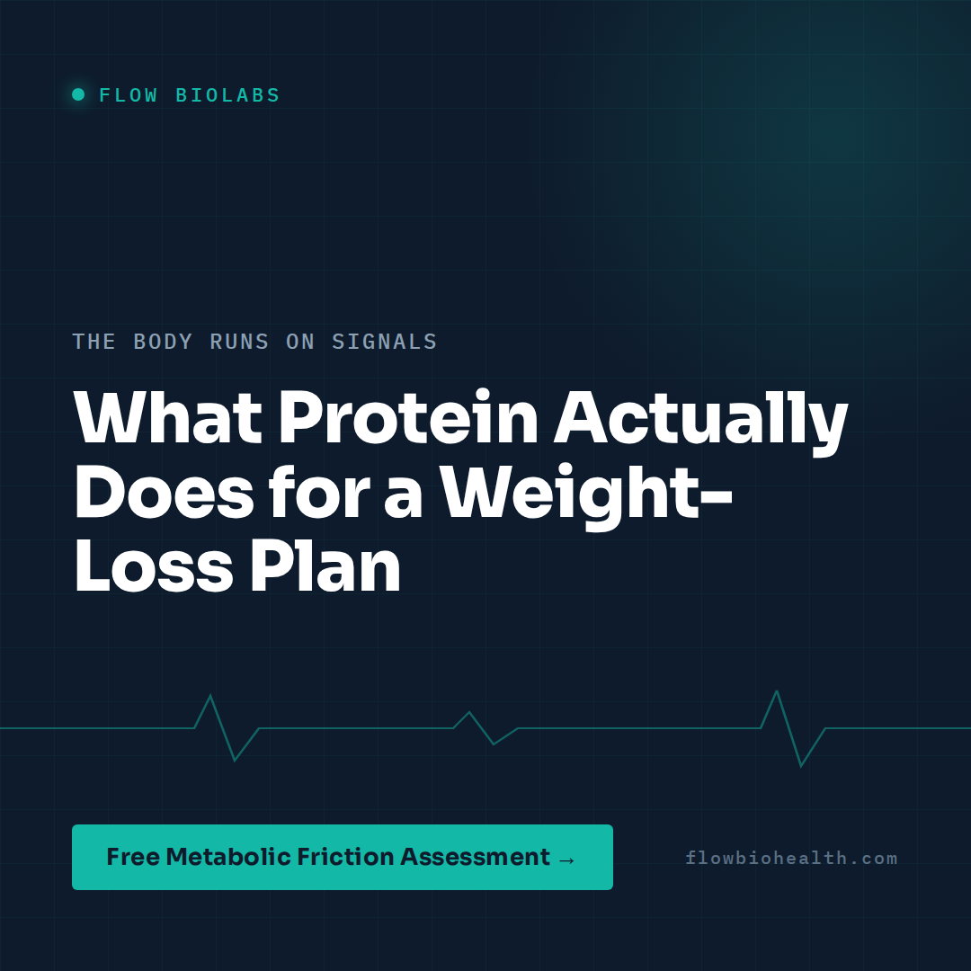 What Protein Actually Does for a Weight-Loss Plan