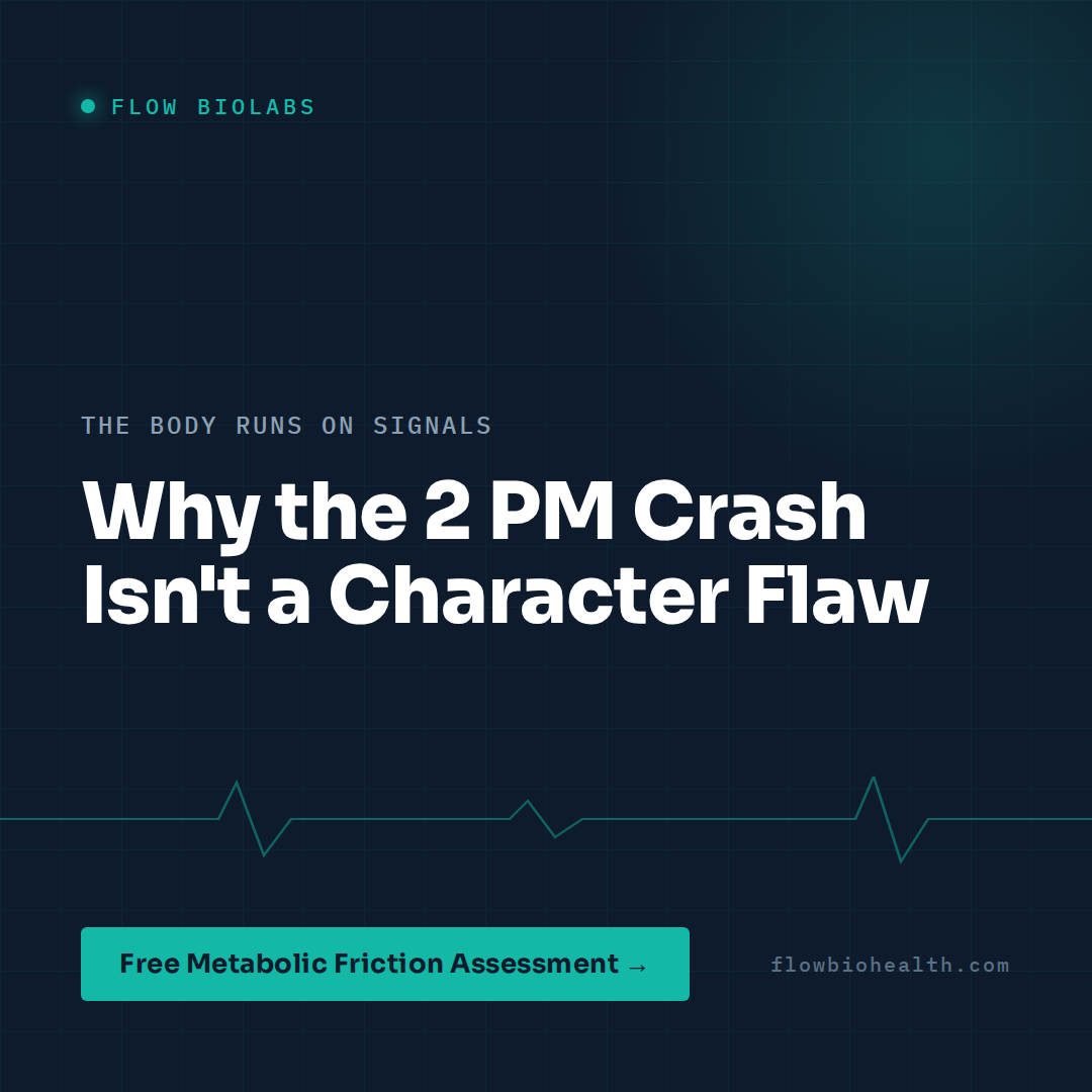 Why the 2 PM Crash Isn’t a Character Flaw