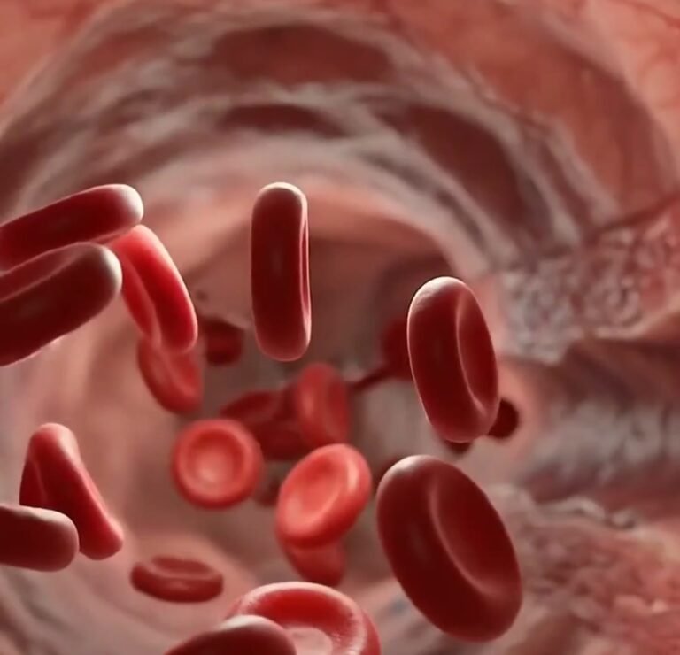 ApoB Test: What It Measures and Why It May Beat LDL
