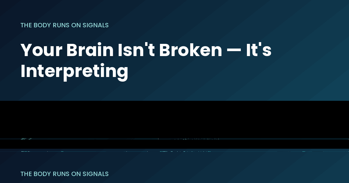 Your Brain Isn’t Broken — It’s Interpreting: Three Studies on What That Actually Means