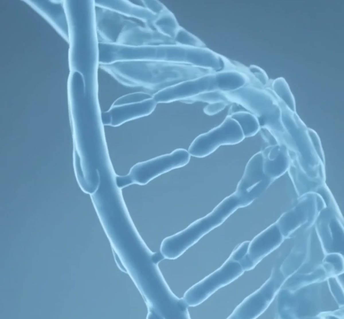 Illustration of a DNA double helix representing telomeres and cellular aging