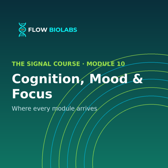 The Signal Course — Module 10: Cognition, Mood & Focus