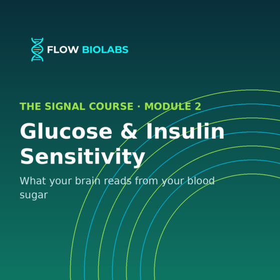 The Signal Course — Module 2: Glucose & Insulin Sensitivity