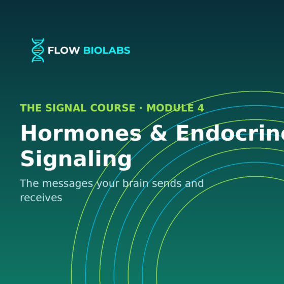 The Signal Course — Module 4: Hormones & Endocrine Signaling